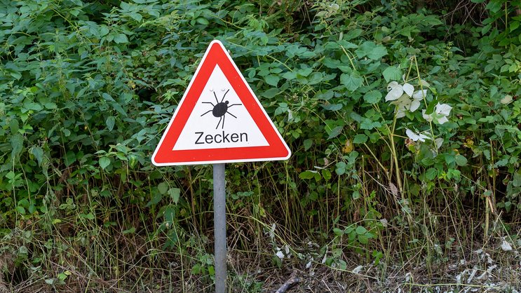 Die meisten Stiche ereignen sich in der Freizeit, vor allem zwischen Mai und Juli.