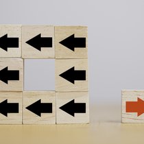 Die Disruption des bisherigen Pensionssystems führt nicht zu einheitlichen Standardlösungen, sondern zu einer erhöhten Wahlfreiheit.