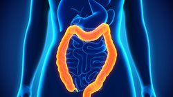 Les offres de dépistage organisé du cancer colorectal demeurent inchangées et restent accessibles comme jusqu’ici aux assurés.
