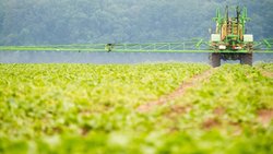 Un agriculteur pulvérise à l'aide d'un tracteur et d'une rampe des herbicides sélectifs pour détruire les mauvaises herbes dans un champ de betteraves sucrières.