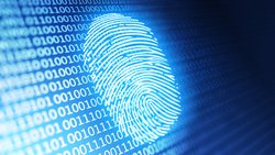 Der Umgang mit digitalen Personendaten erfordert von Mitarbeitenden bei Versicherungen Achtsamkeit und Fingerspitzengefühl.