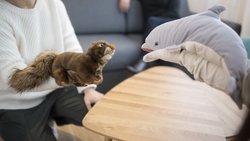 Psychotherapie in der Schweiz: Die Psychotherapeuten streiten mit dem Krankenkassenverband Santésuisse.