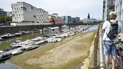 À Cologne, le niveau du Rhin n'a jamais été aussi bas. Dans la nuit de samedi à dimanche, le niveau est tombé à seulement 45 centimètres, soit bien en dessous du niveau le plus bas jamais enregistré. Cela pose un problème croissant pour la navigation. 