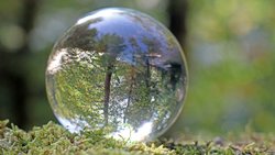 Der Blick in die Kristallkugel reicht nicht, um als institutioneller Investor Greenwashing zu erkennen und zu verhindern.