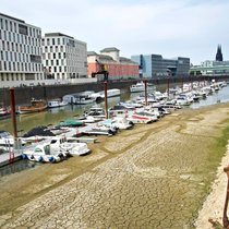 Wetterereignisse wie extreme Trockenheit können parametrische Policen auslösen: Rhein Mitte August 2026 bei Köln. 