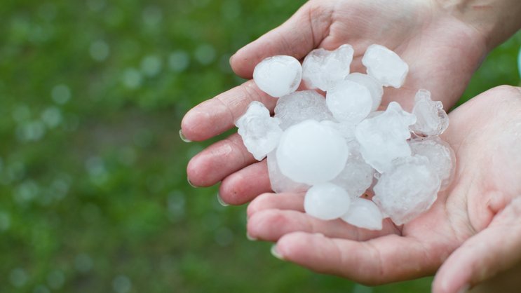 Unwetter verursachen erneut Ausfälle an Acker- und Gemüsekulturen.