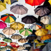 In der Gesamtsicht des Insurance Compass wird die Breite und Bedeutung der Versicherungsbranche sichtbar.