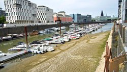 Wetterereignisse wie extreme Trockenheit können parametrische Policen auslösen: Rhein Mitte August 2026 bei Köln. 