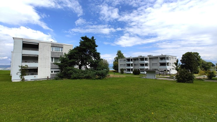 Teil der Wohnüberbauung Riedholz in Richterswil.