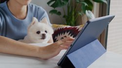 Welcher schweizerische Versicherer bietet gegenwärtig die beste «Digital Insurance Experience»?