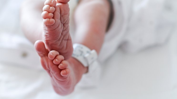 Babyfuss