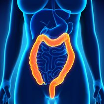 Les offres de dépistage organisé du cancer colorectal demeurent inchangées et restent accessibles comme jusqu’ici aux assurés.