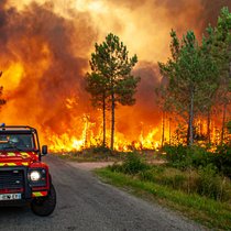 Im Sommer 2026 leider ein gewohntes Bild: Waldbrände hinterlassen nicht nur in Frankreich eine Schneise der Verwüstung. 