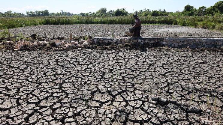 Rizières craquelées en raison de la sécheresse persistante dans la région d'Aceh Besar, en Indonésie, en juillet 2026. La plupart des zones de la province d'Aceh et plusieurs autres régions d'Indonésie sont déjà entrées dans la saison sèche, tandis que le phénomène El Niño devrait atteindre une forte intensité d'ici janvier 2027.