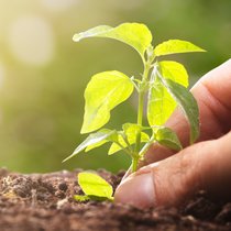 En matière d'investissement durable, les caisses de pension suisses ont encore une grande marge de progression.