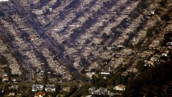 Les incendies de forêt à Los Angeles ont causé des milliards de dollars de dégâts.