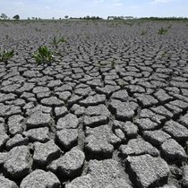 Während die Hitzewellen in Europa für 2026 überstanden sind, wirft das nächste Klimaphänomen bereits seine Schatten voraus: El Niño.