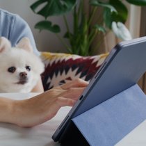 Welcher schweizerische Versicherer bietet gegenwärtig die beste «Digital Insurance Experience»?