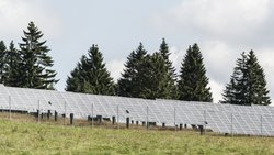 Nur ein Viertel aller befragten unabhängigen Vermögensverwalter bezieht Nachhaltigkeitskriterien in den Anlageprozesse mit ein.