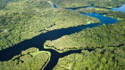 Wenn die Biodiversität schwindet, droht der Zusammenbruch der Ökosysteme: Amazonas-Regenwald im brasilianischen Bundesstaat Pará.