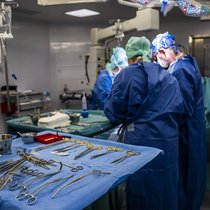 Le personnel d'un bloc operatoire, procedent a une transplantation d'organe apres avoir fait un prelevement sur un donneur vivant d'un rein, dans un bloc operatoire des Hopitaux Universitaires de Geneve (HUG).