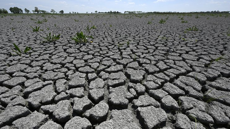 «Es geht nicht nur um steigende Temperaturen. Es geht um Exposition, Volatilität und die Anpassungsfähigkeit unserer Systeme.»