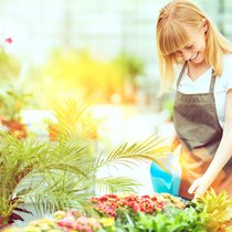 Für Kleinfirmen sind Vollversicherungen ideal. Anbieter zeigen sich indes sehr rigoros bei der Wahl neuer Kunden.