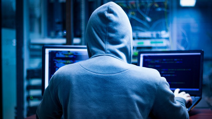 Immer mehr Betrüger tummeln sich im Cyberspace.