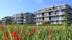 Le groupe de placement Real Estate Switzerland acquiert quatre nouveaux biens immobiliers.