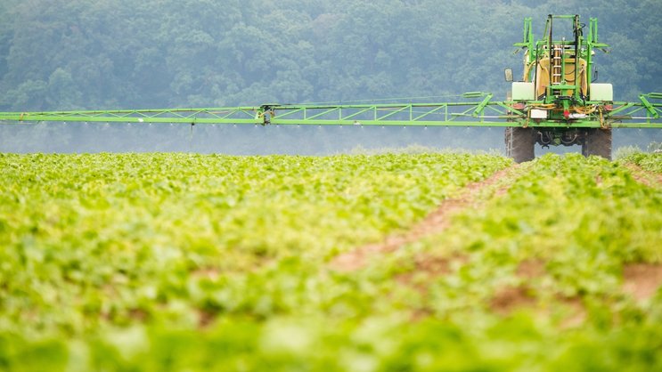 Un agriculteur pulvérise à l'aide d'un tracteur et d'une rampe des herbicides sélectifs pour détruire les mauvaises herbes dans un champ de betteraves sucrières.