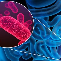 L’IA permet de détecter le cancer colorectal grâce aux bactéries intestinales.