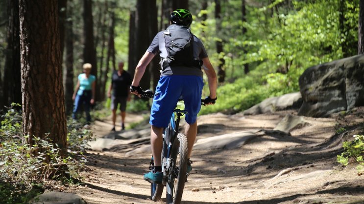 Mountainbiker im Wald
