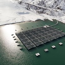 CO2-arme Energien decken inzwischen 99.6 Prozent der Stromerzeugung in der Schweiz.