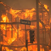 Les incendies de forêt à Los Angeles constituent le sinistre lié aux incendies de forêt le plus important jamais enregistré dans les statistiques de Sigma.