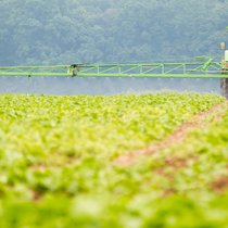 Un agriculteur pulvérise à l'aide d'un tracteur et d'une rampe des herbicides sélectifs pour détruire les mauvaises herbes dans un champ de betteraves sucrières.