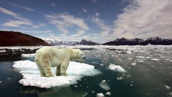 Les politiques actuelles des nations emmènent le monde vers un réchauffement «catastrophique» de 3,1 Grad au cours du siècle.
