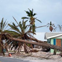 Willis erweitert seine Fähigkeiten zur Klimarisikomodellierung mit einer aktualisierten Lösung zur Klimadiagnostik: Florida nach dem Hurrikan «Milton» im Oktober 2024.
