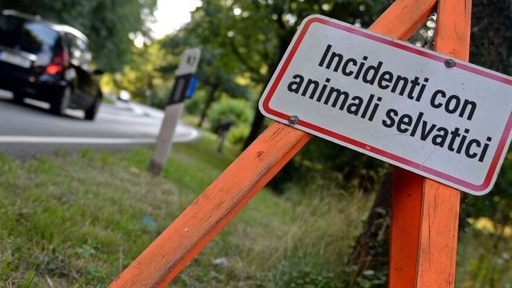 241023_Bild_1