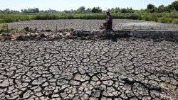 Rizières craquelées en raison de la sécheresse persistante dans la région d'Aceh Besar, en Indonésie, en juillet 2026. La plupart des zones de la province d'Aceh et plusieurs autres régions d'Indonésie sont déjà entrées dans la saison sèche, tandis que le phénomène El Niño devrait atteindre une forte intensité d'ici janvier 2027.