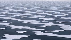 Begünstigt durch den Klimawandel erscheinen arktische Seerouten zunehmend mehr als nur eine theoretische Alternative. 