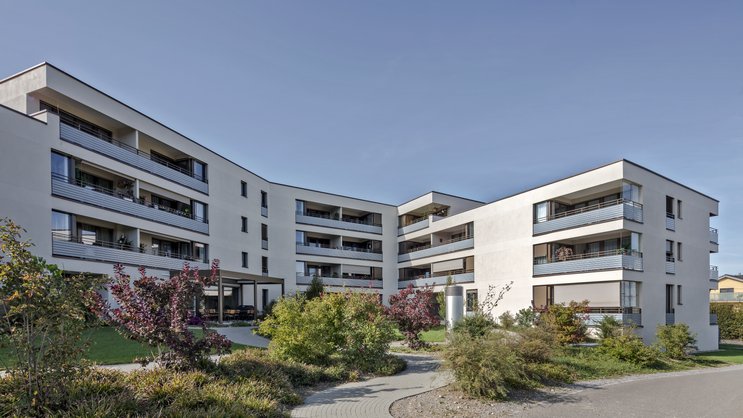 Immobilien Novavest Real Estate Berikon Cornealistrasse