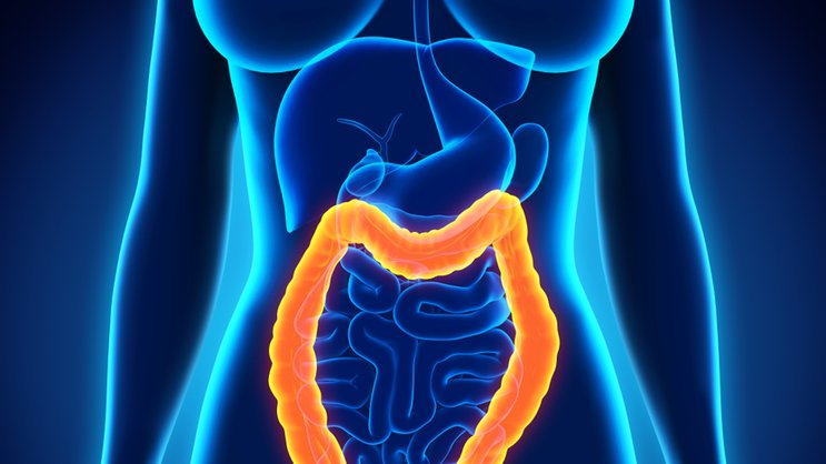 Les offres de dépistage organisé du cancer colorectal demeurent inchangées et restent accessibles comme jusqu’ici aux assurés.
