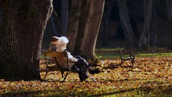 Lebensversicherungen eignen sich für Personen, die Wert auf finanzielle Absicherung für sich oder ihre Familie im Todesfall oder bei Erwerbsunfähigkeit legen.