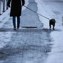 En hiver, le verglas requiert toute notre attention. Protégez-vous et protégez les autres en appliquant de simples mesures de sécurité lorsque vous êtes à pied et sur la route.