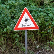 Die meisten Stiche ereignen sich in der Freizeit, vor allem zwischen Mai und Juli.