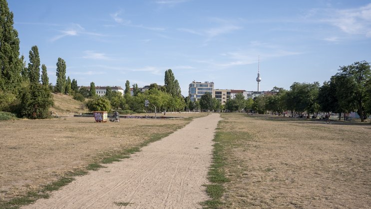 Ausgetrockneter Park in Berlin im August 2022.