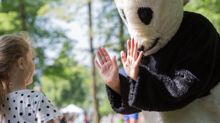 WWF-Panda: Swica wird die Umweltorganisation finanziell unterstützen.