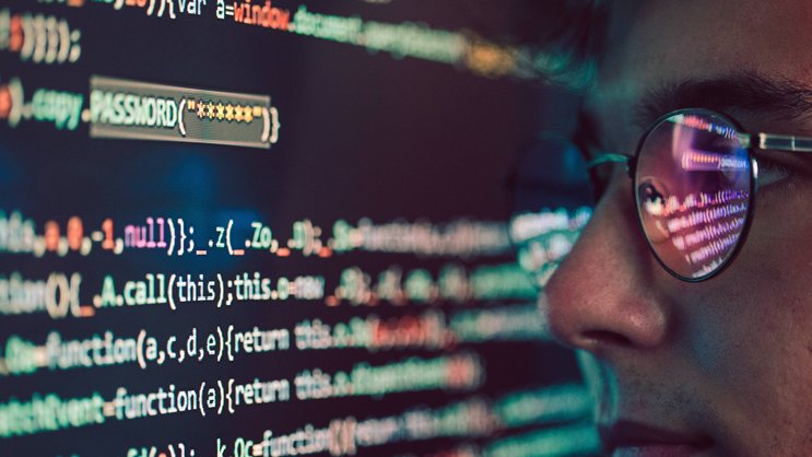 Cyberkriminelle organisieren sich zunehmend in internationalen Banden. Das erfordert neue Methoden der polizeilichen Ermittlung und eine intensive Zusammenarbeit.