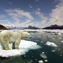 Les politiques actuelles des nations emmènent le monde vers un réchauffement «catastrophique» de 3,1 Grad au cours du siècle.