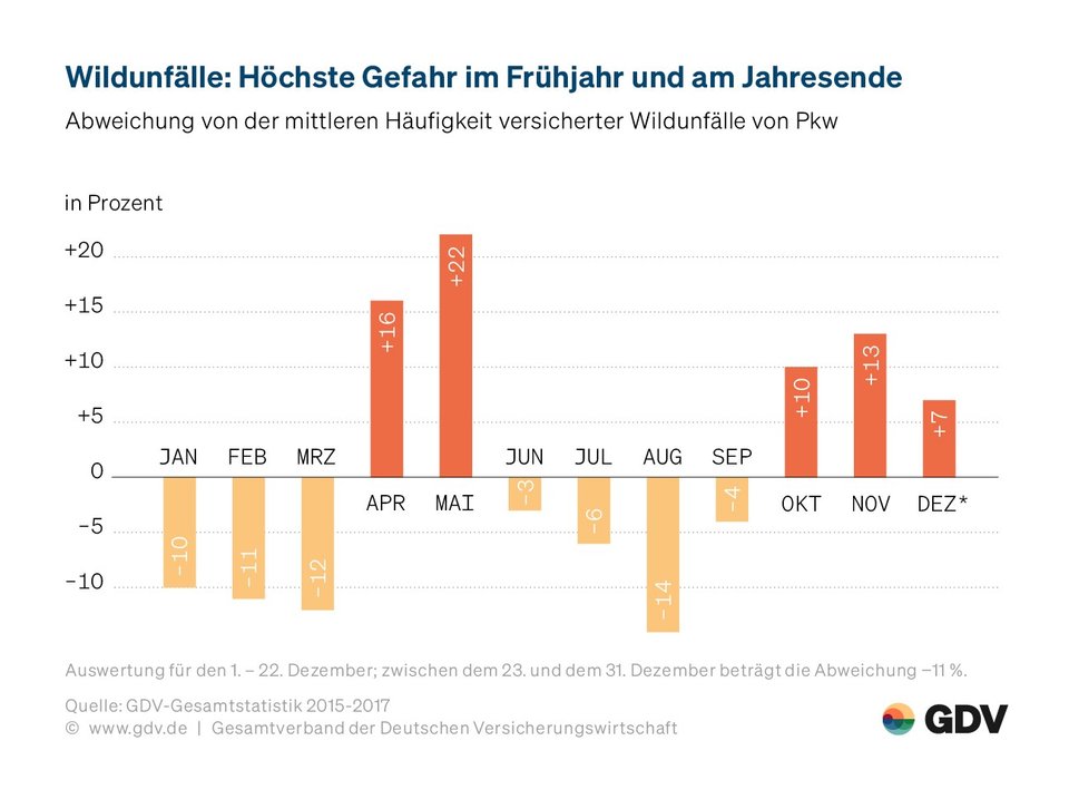 Wildunfälle: Höchste Gefahr im Frühjahr und am Jahresende.